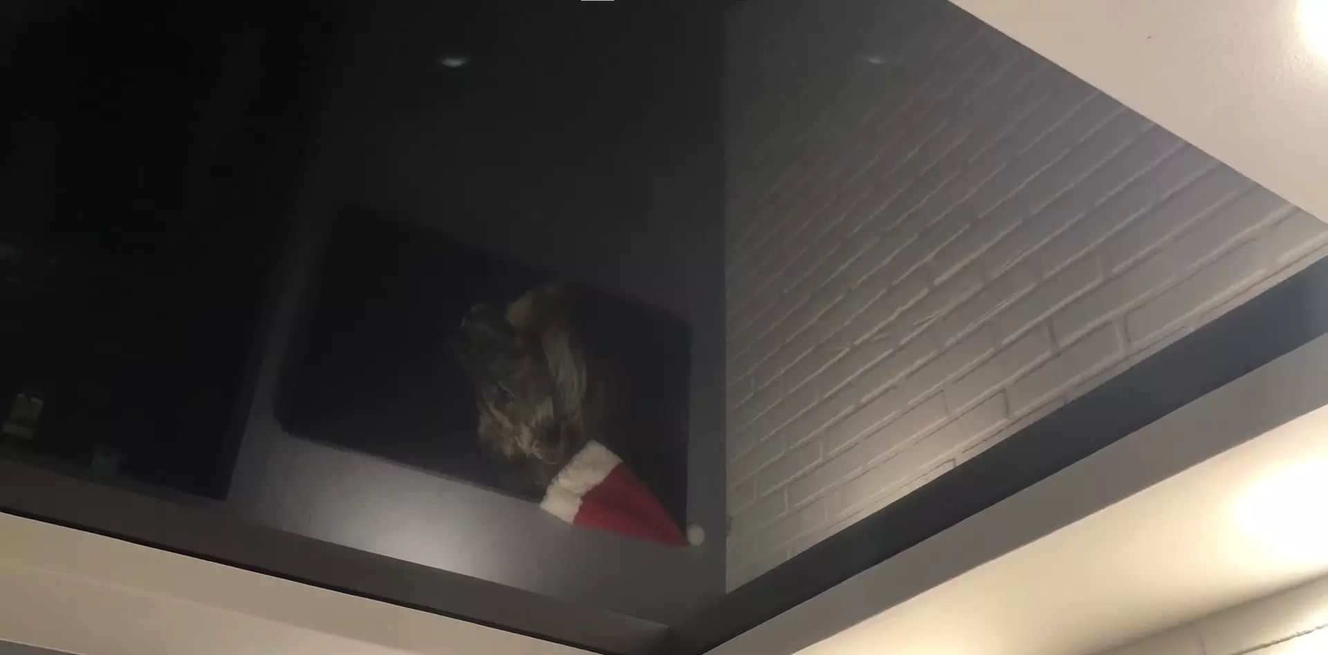 Екатеринбург, Тверитина, 38/1, фото 3