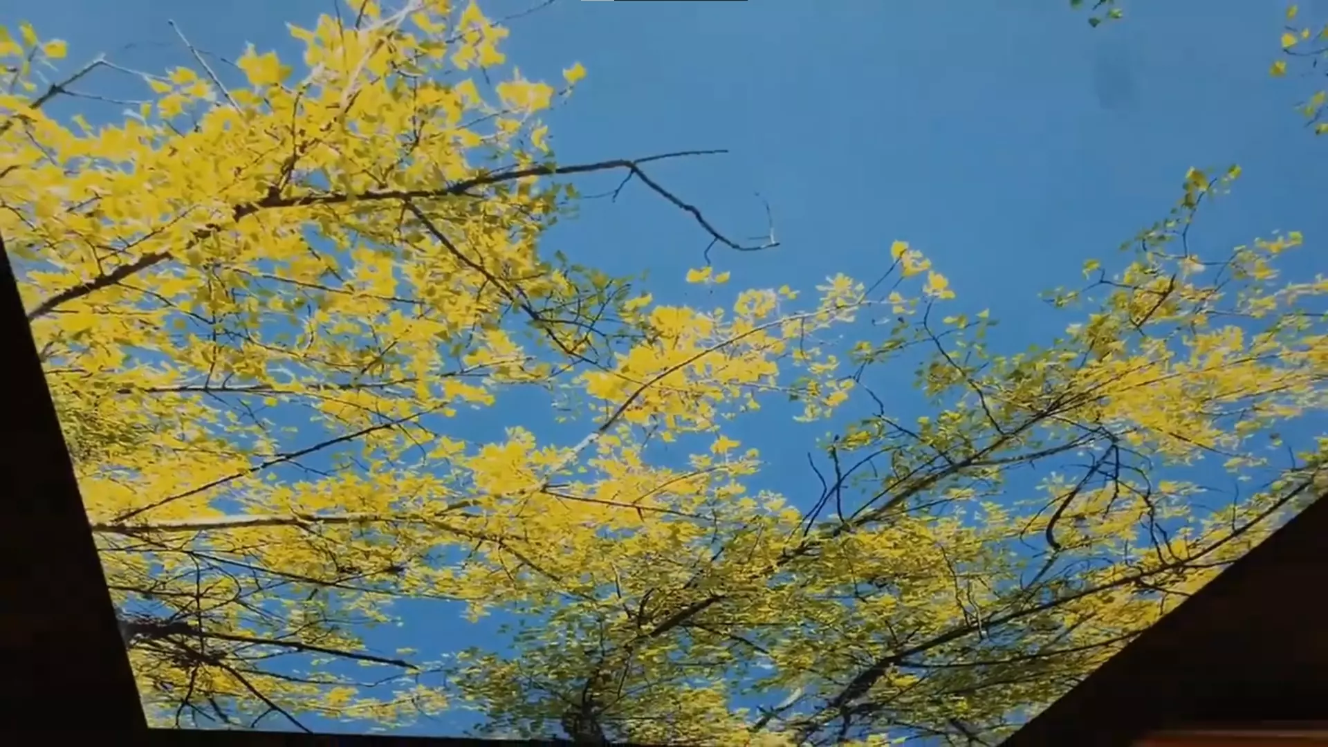 Екатеринбург, Волгоградская, 189/3, фото 2