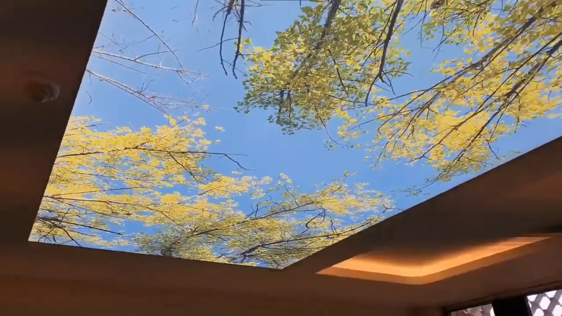 Екатеринбург, Волгоградская, 189/3, фото 3