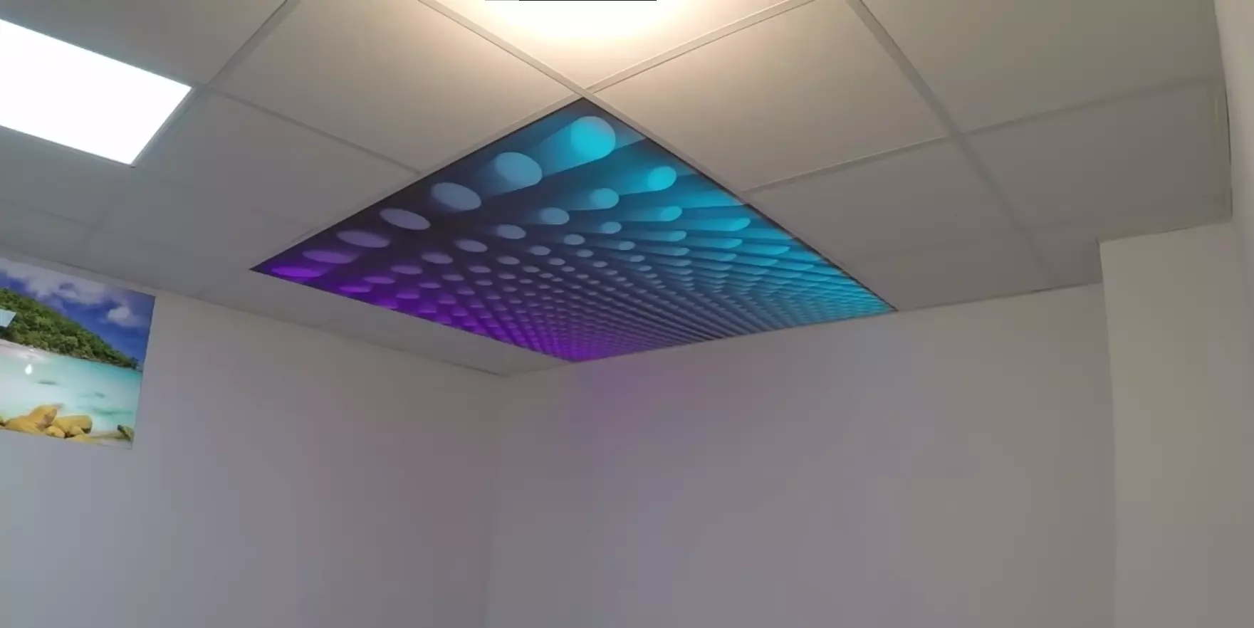 Петрозаводск, проспект Александра Невского, 73, фото 1